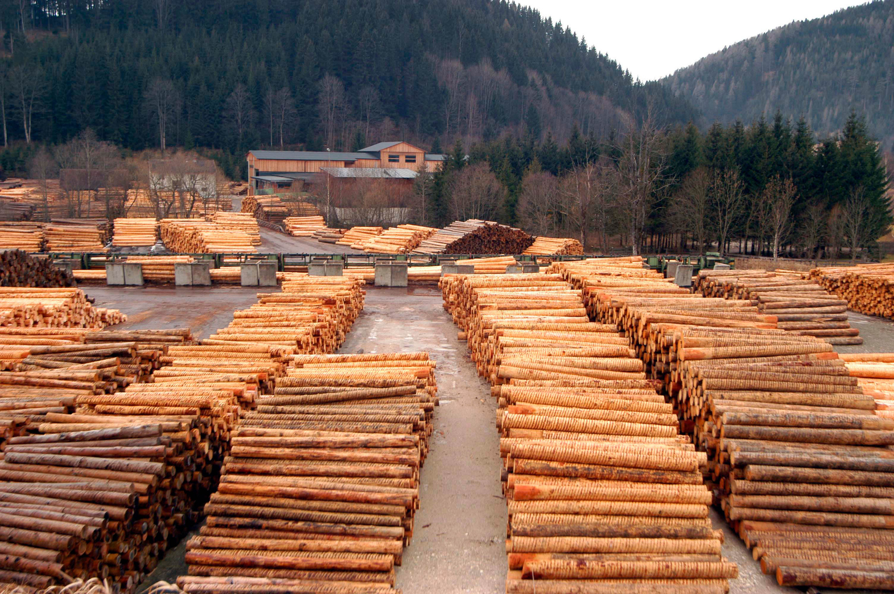 Wood Storage in the Industry